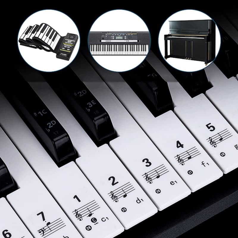 Adesivos Piano Coloridos Transparentes Para Etiqueta Notas Teclados 54 61 88 Teclas