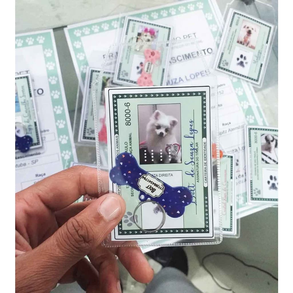 Identidade Rg Documento Para Pet - Brinde Placa Para O Pet