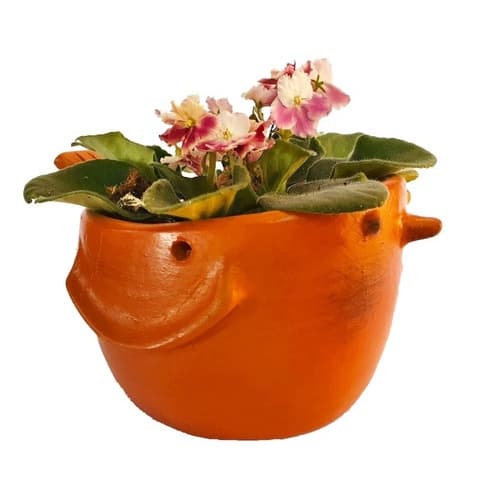 Vaso Decorativo Centro De Mesa Para Plantas Suculentas Flor