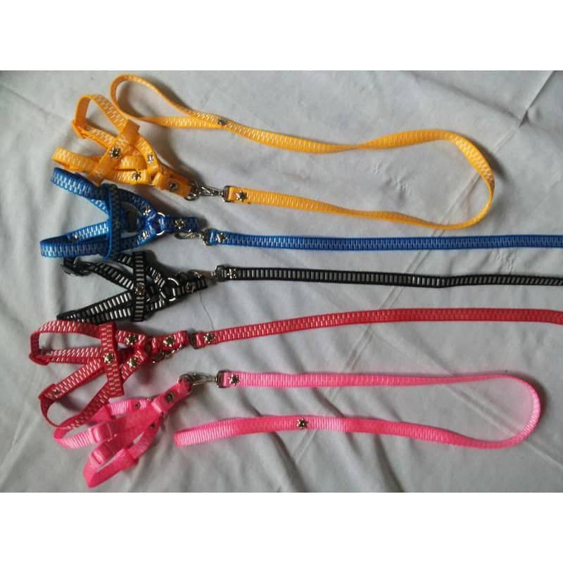 Peitoral 4 patas com fita comum regulável ✓Do n°0 ao n°4