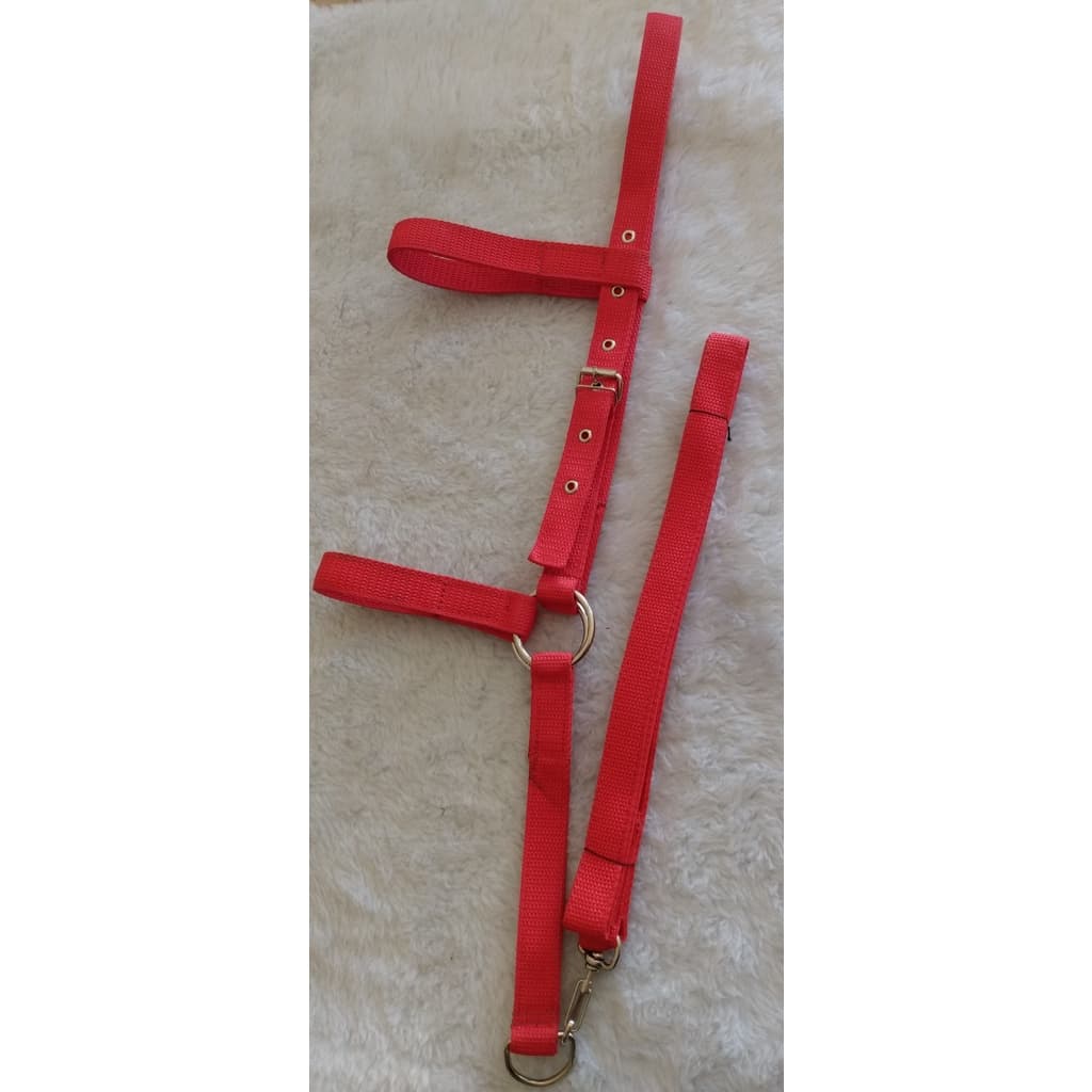 Cabresto Nylon Fita Com Regulagem para Cavalo