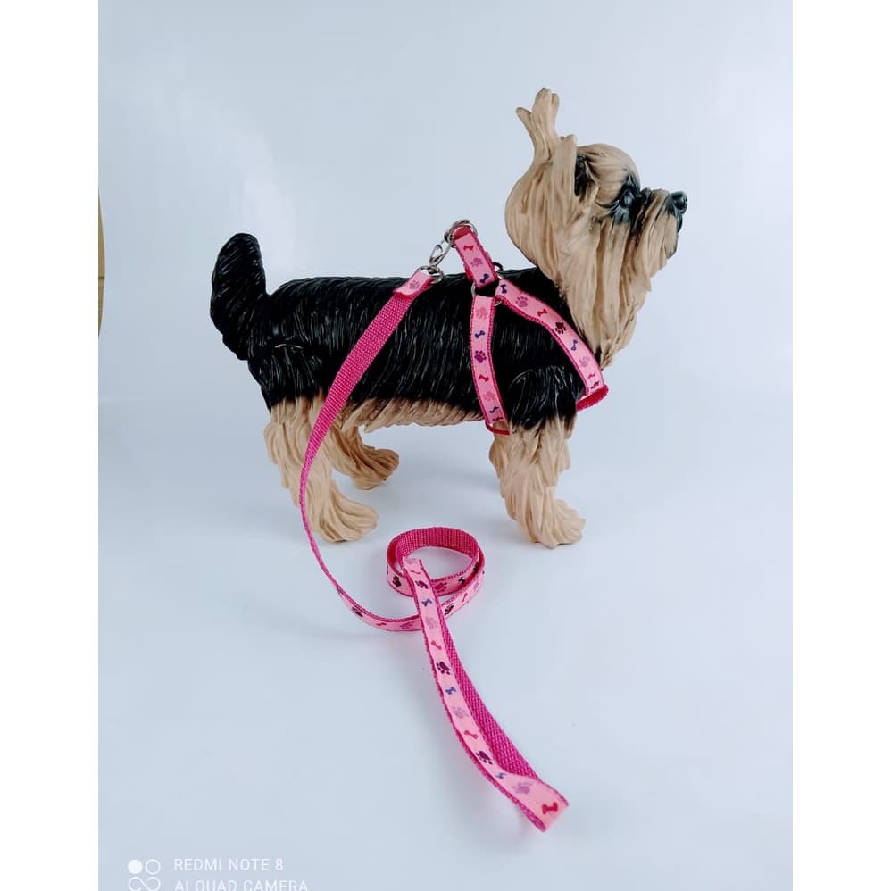 Coleira Peitoral  Com Guia para cachorro, cão 4 patas Veneza 0 á 4  para Cão.