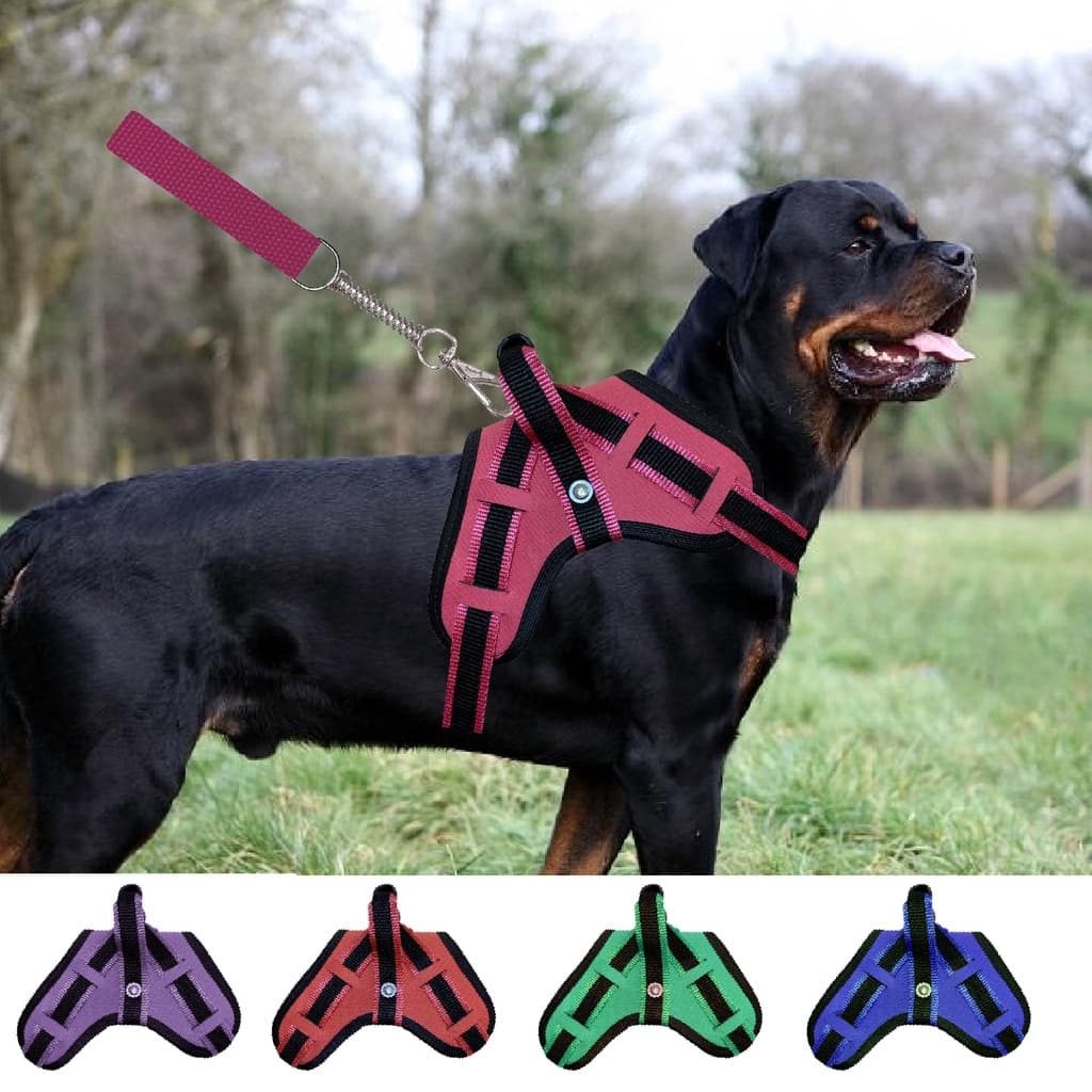 peitoral coleira cachorro grande pit bull fila rotwailler golden doberman vários tamanhos