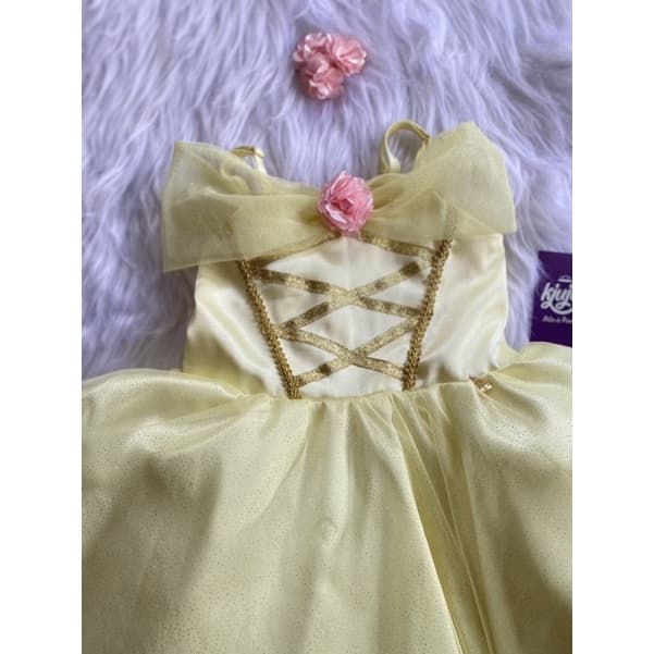 Linda Roupa Temática vestido bela e a fera princesa luxo festa aniversario