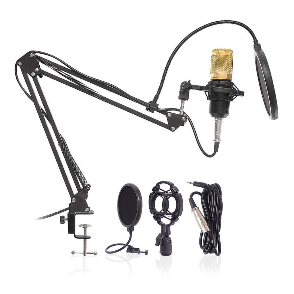 Kit Microfone Bm800 + Pop Filter + Aranha + Braço Articulado