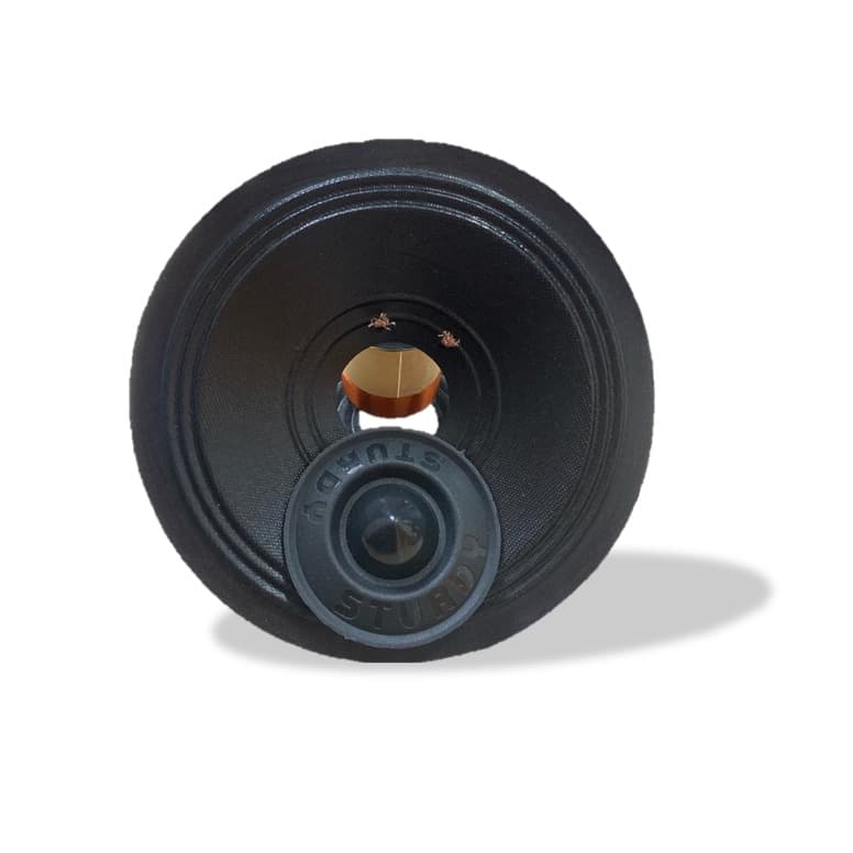 KIT REPARO ORIGINAL STURDY 6 POLEGADAS WOOFER 160W RMS