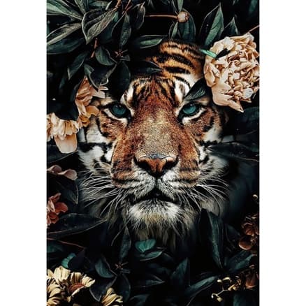Tela Canvas 50x70 Animais Decorativos Classicos Nordicos