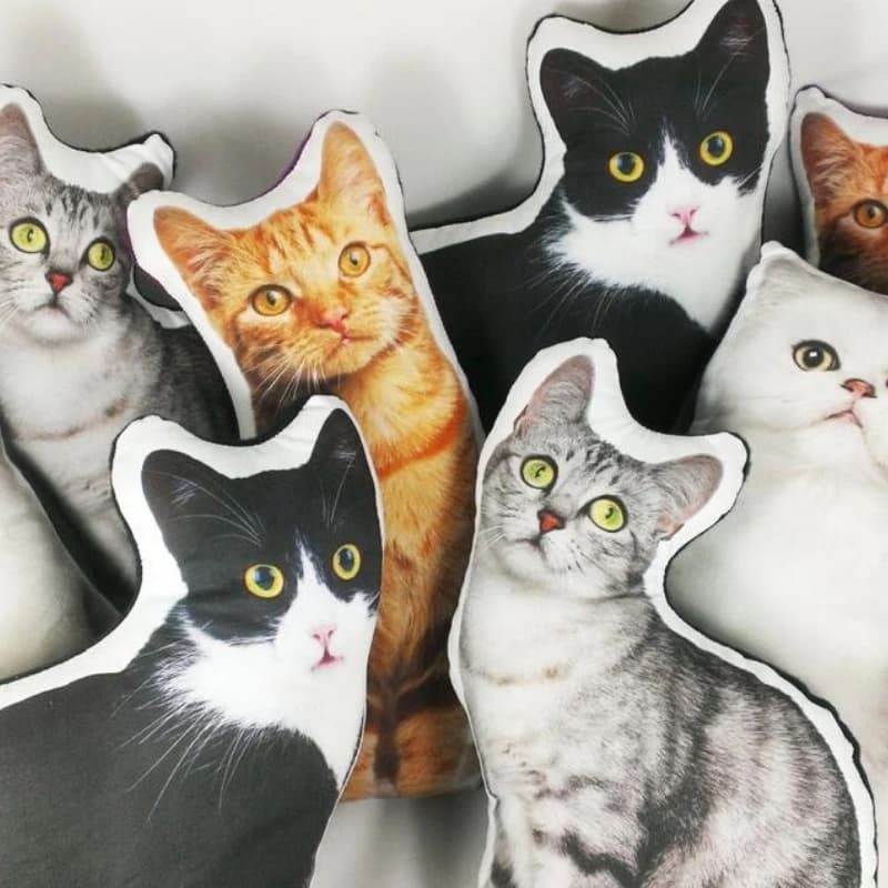 Almofada com Foto do Pet Personalizada - Cachorro - Gato - Coelho - Hamster - Papagaio -Passarinho - Rato