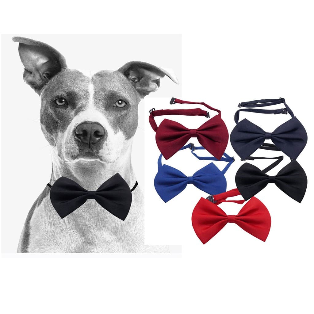 Gravata Borboleta Pet Cachorro Várias Cores
