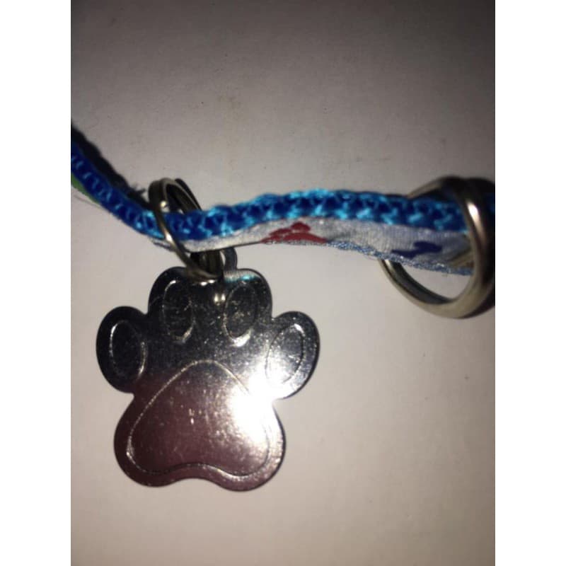 Coleira para Cachorro com Pingente