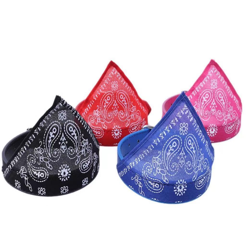 Coleira Bandana Gatos E Cachorros De Pequeno Porte