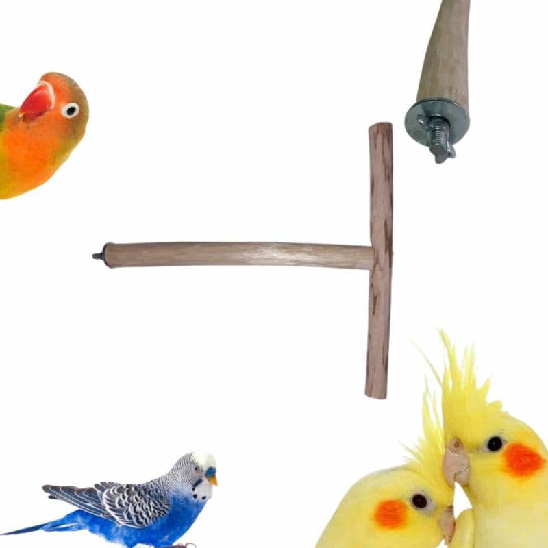 Poleiro fomato de T para pássarros Suporte para treinamento Brinquedos pets para gaiolas