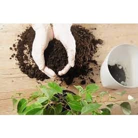 2 KG de Terra Substrato para flores, plantas, vasos, jardins, suculentas, floreiras, árvore, hortas, gramas.(Decoração, casa, adubo)