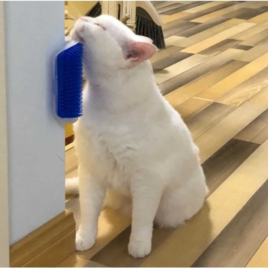 Escova Tira Pêlos Coçador Com Catnip Erva Do Gato Pet Parede Gato Massagem Brinquedo