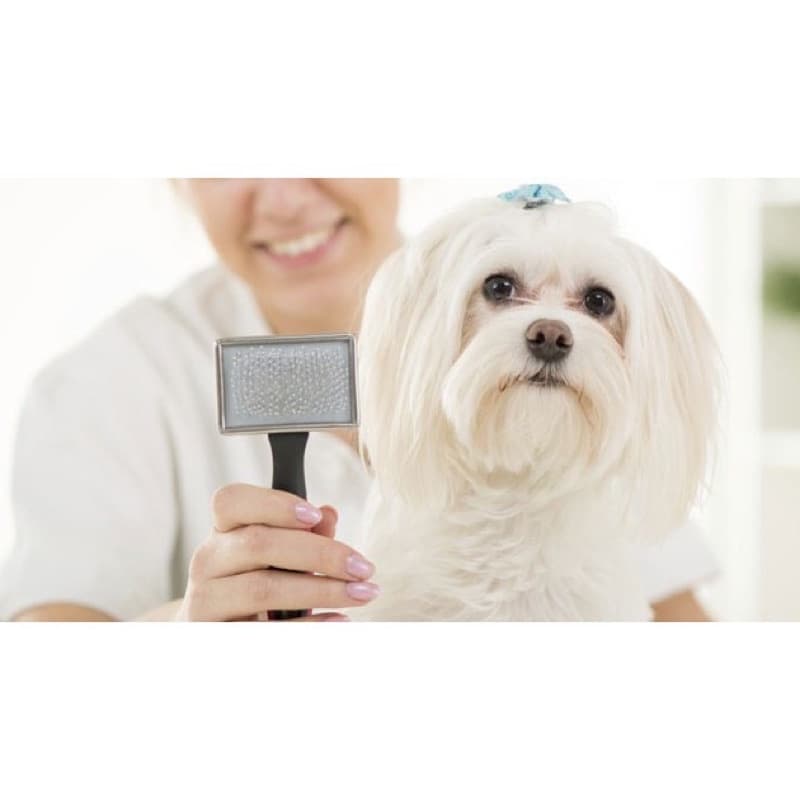 Escova Rasqueadeira Plana Tira Pelos Cachorro Cães E Gatos