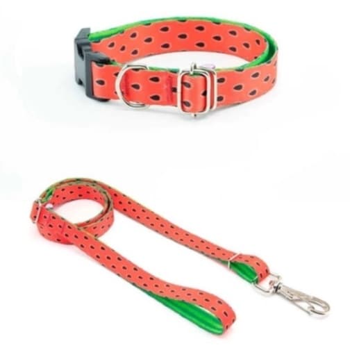 Coleira Para Gato E Cachorro Pet (Porte Pequeno) Com Guia Colorida