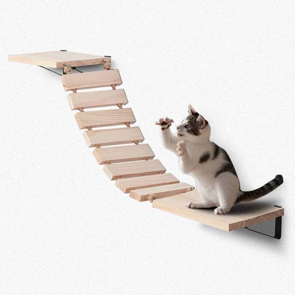 Ponte para gatos, prateleira de parede.