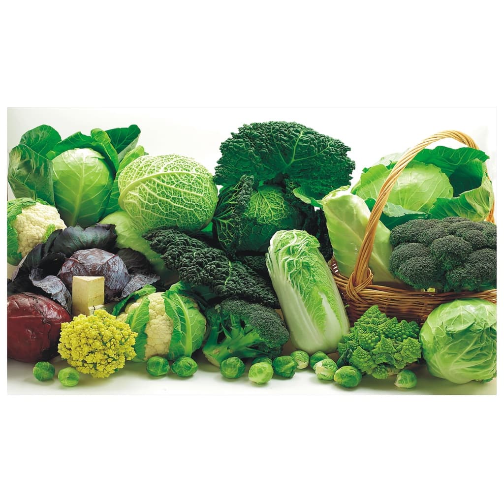 Papel De Parede Verdura Fruta Cozinha Salada Comida J 58
