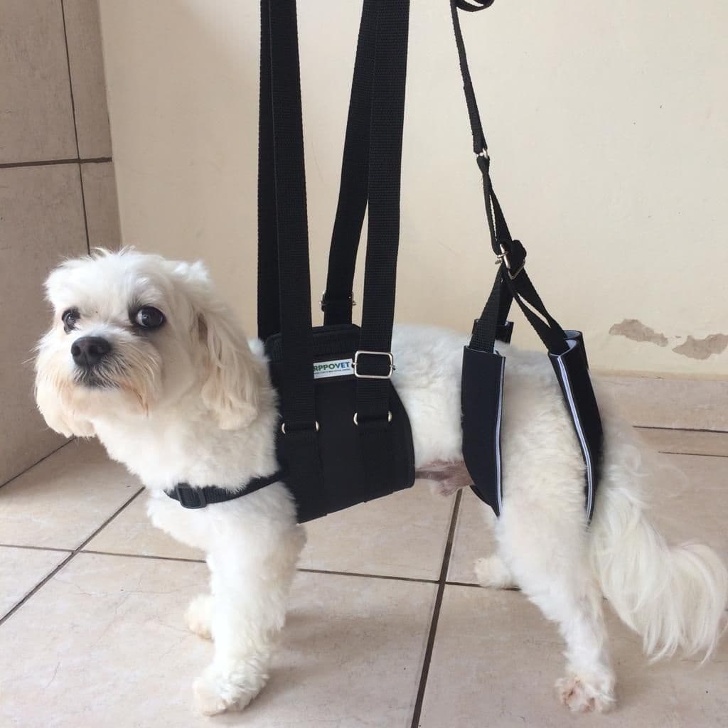Suporte auxiliar para cachorro com deficiente para andar - cor preta - Karppovet
