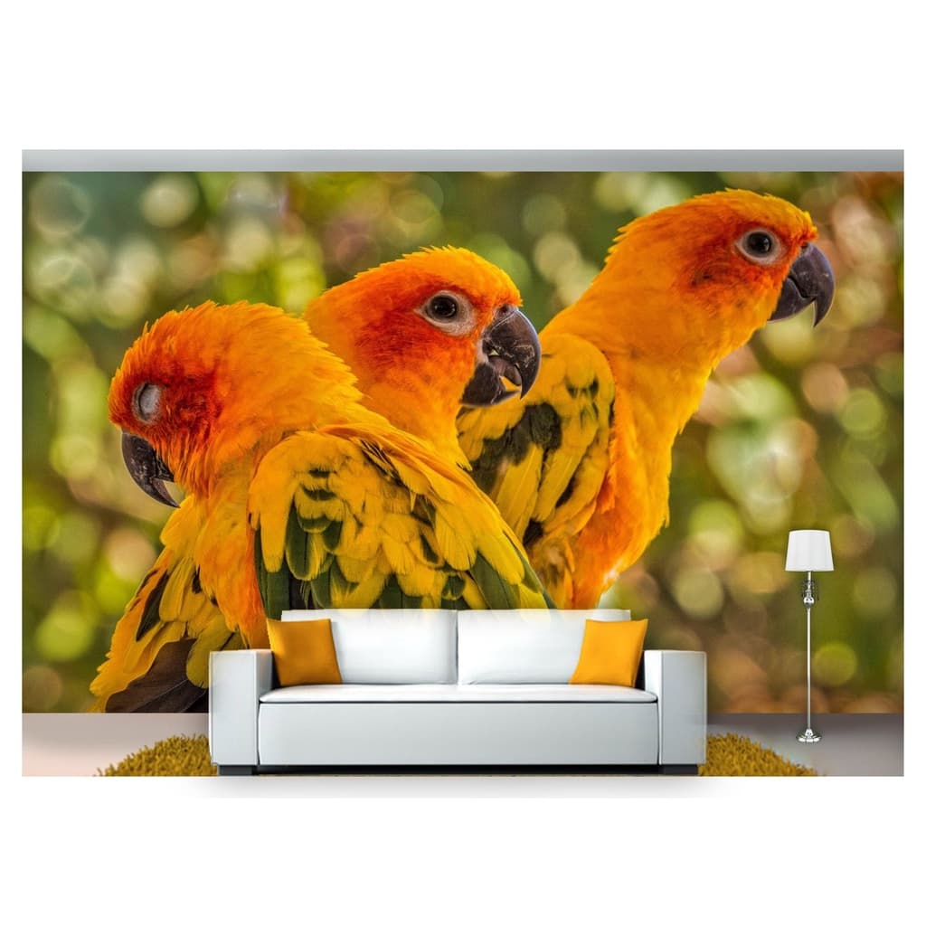 papel de parede Animais família de pássaros 6m² ANM196