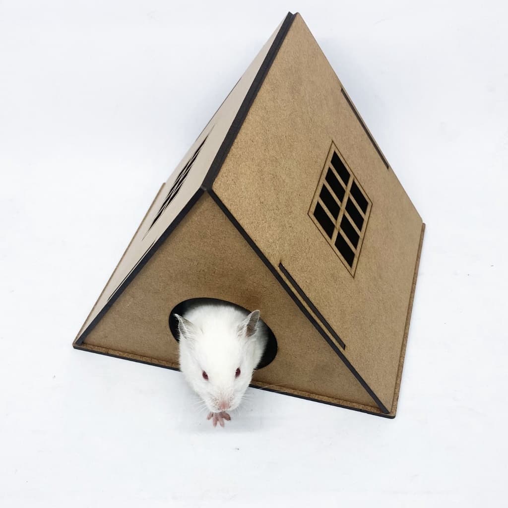 Brinquedo Para Hamster Toca Porquinho Da Índia Rato Twister