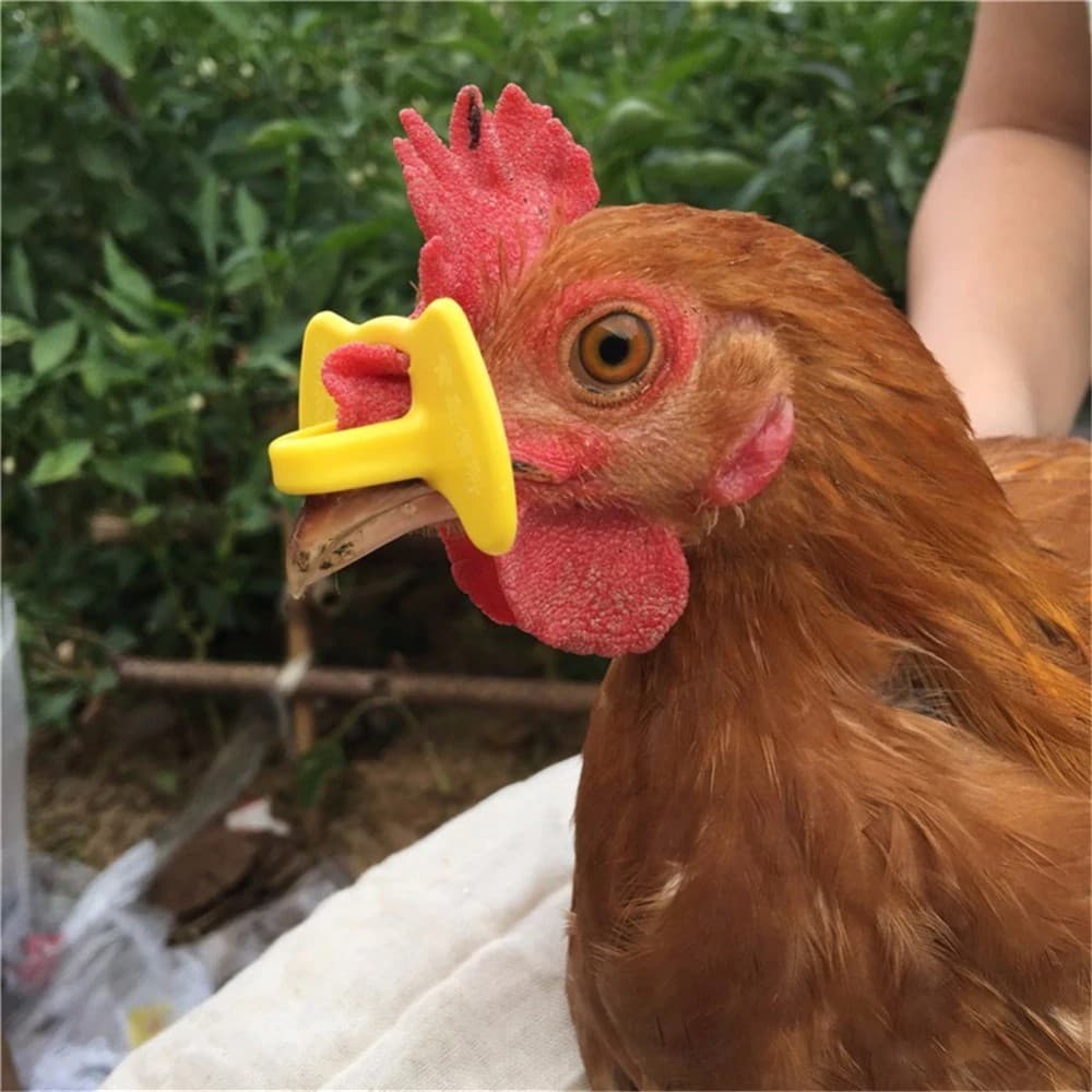 20 Peças Óculos De Frango De Plástico Amarelo Anti-Bicas Equipamento De Aves Tamanho S/M/L