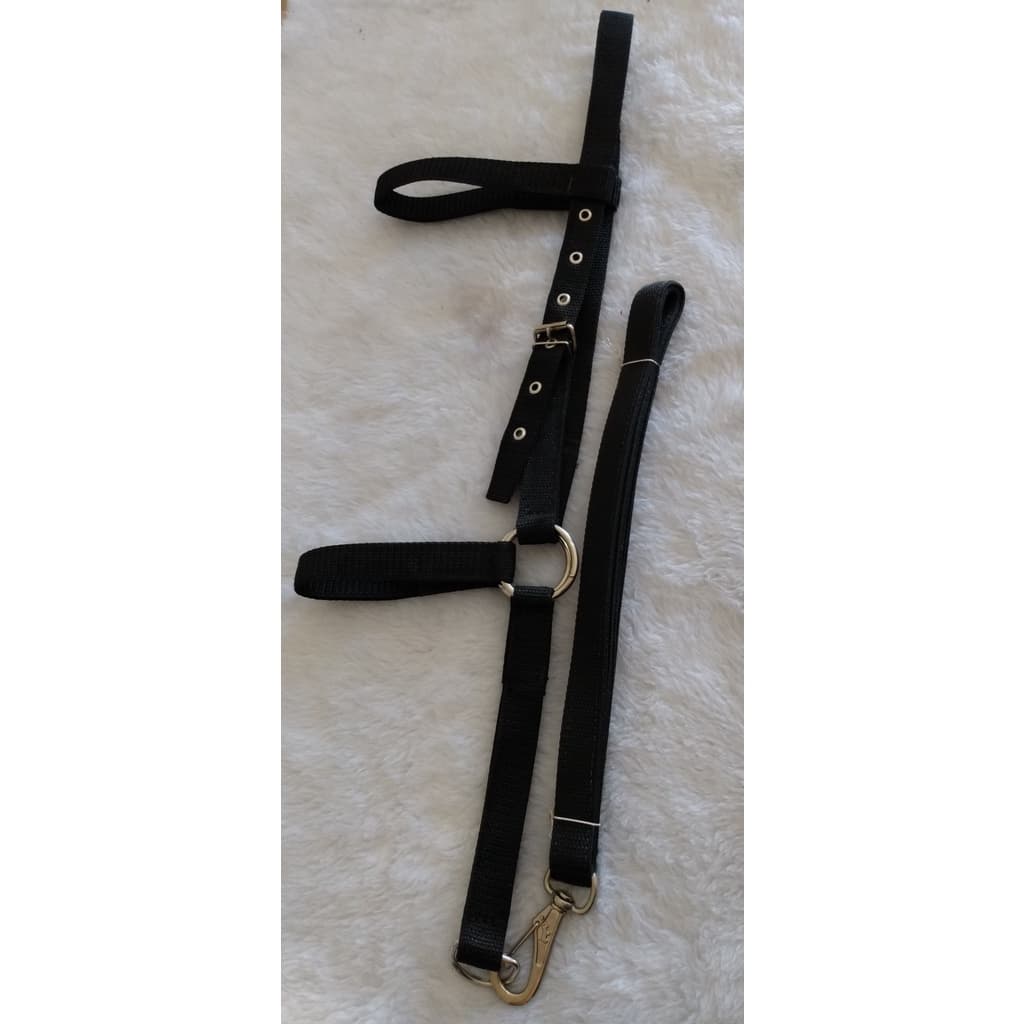 Cabresto Nylon Fita Com Regulagem para Cavalo