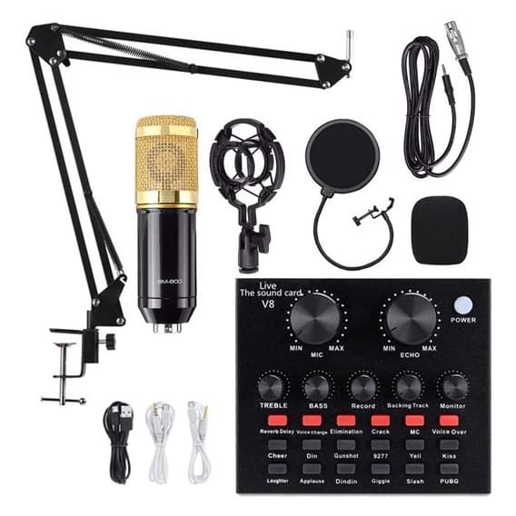 kit Microfone Estúdio Profissional Condensador Bm800 Com Suporte Anti-Vento e Vibração
