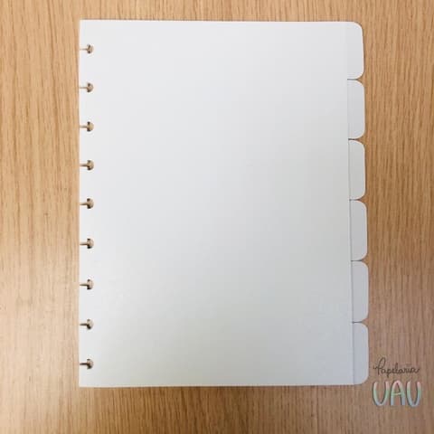kit 6 Divisórias Caderno de disco colegial ( 9 furos )