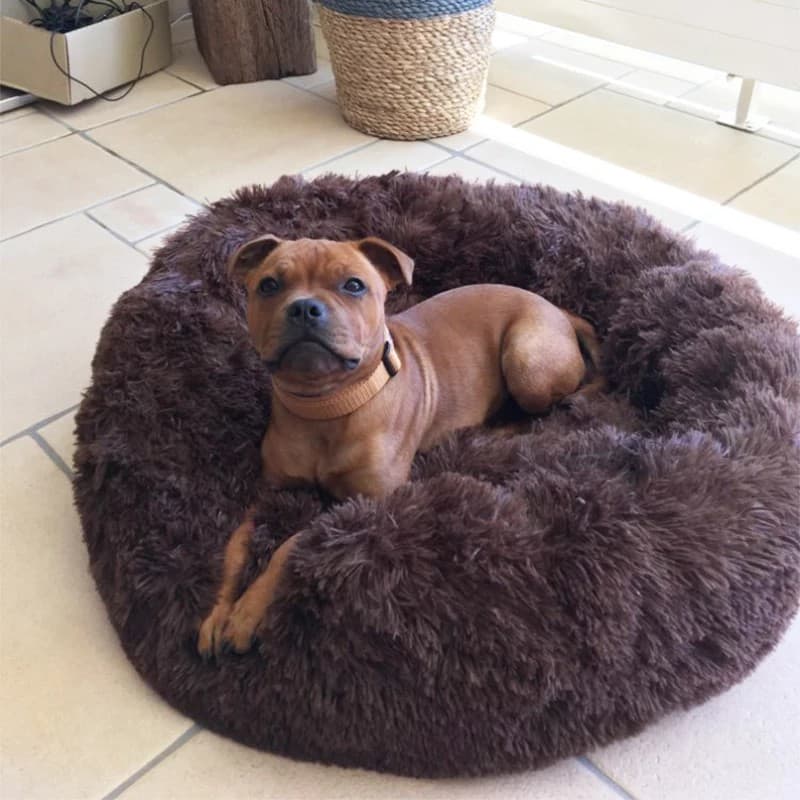Cama 50cm de diâmetro cachorro caminha gato peludo felpudo  antialérgico varias cores