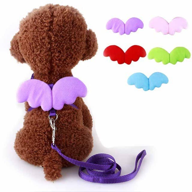 Coleira Angelical com Asas para Cães e Gatos - Material Elástico Resistente, Tamanhos P a XXL