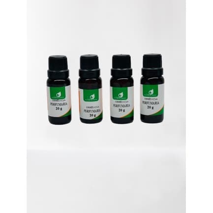 kit com 4 Essências Aromatizante Perfumes Importados 20 ml