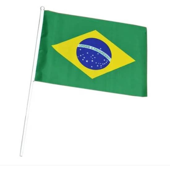 Bandeira Do Brasil De Mão 30x45 - Haste C/10