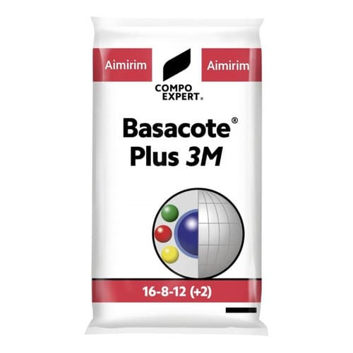 Adubo Para Cactos E Suculentas De Liberação Lenta 500g