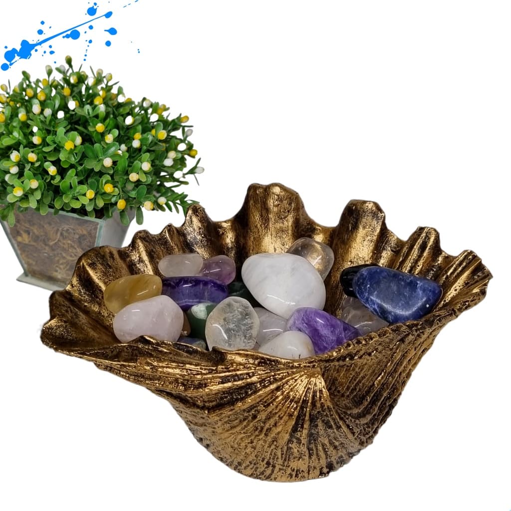 Concha Porta Cristais Pedras Naturais