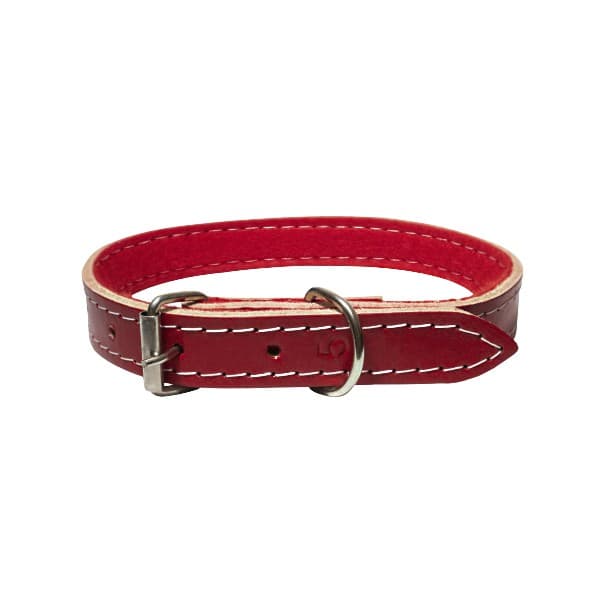 Coleira de Couro para Cães - Coleira Couro Forrado para Cachorro Cor Vermelha.