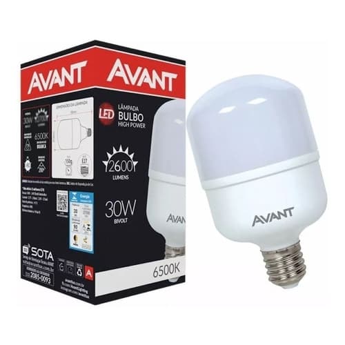 Kit 10 Lampadas Led Bulbo 30w 6500k
