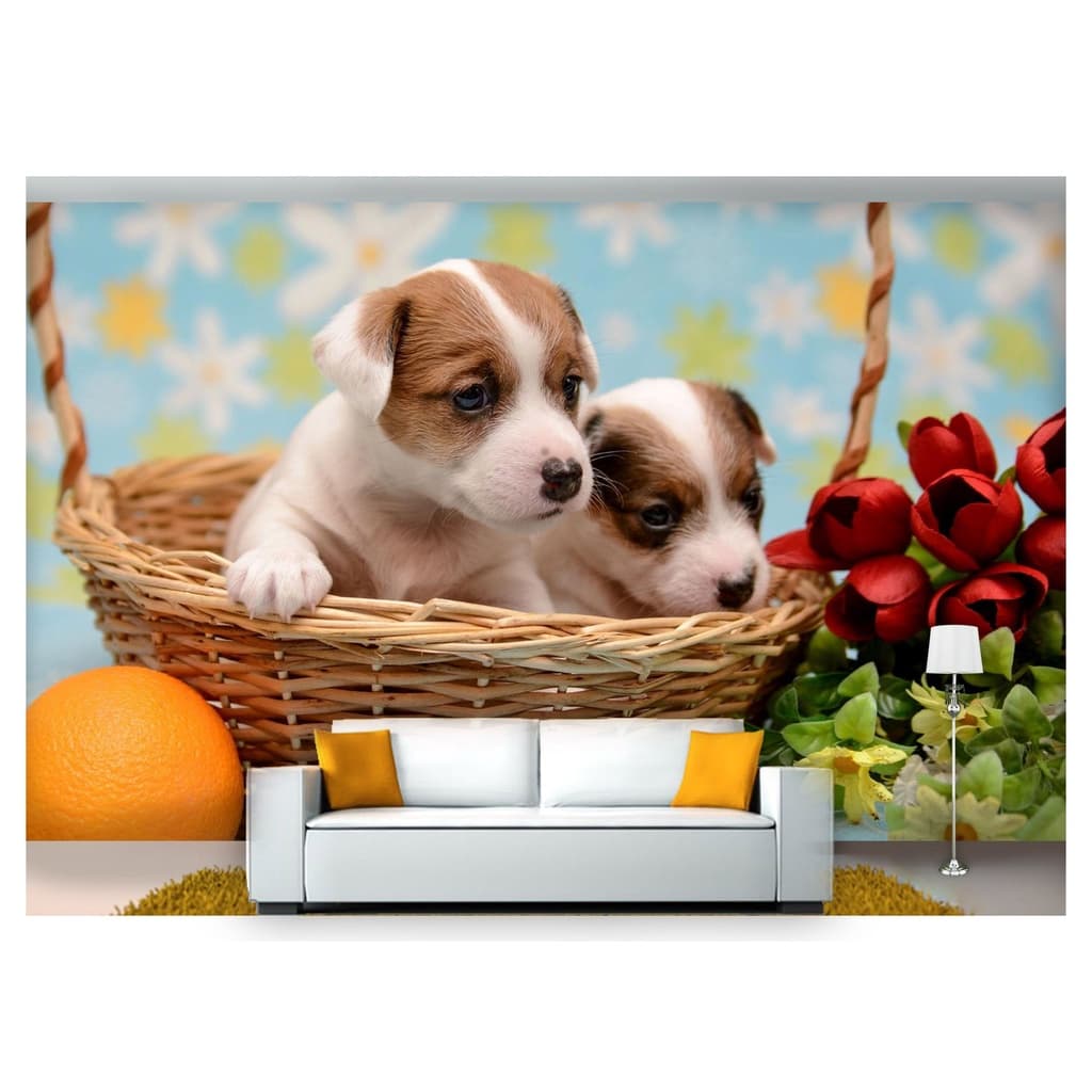 papel de parede Animais cachorros presente 3D 6m² ANM172