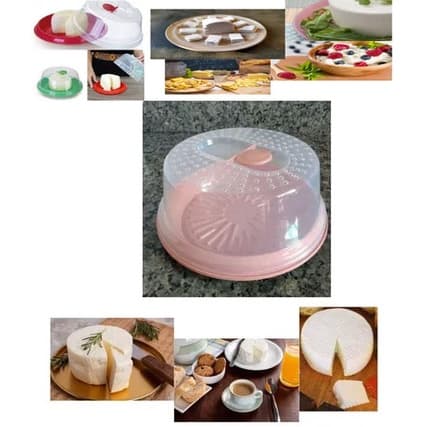 Porta Queijo Queijeira Com Tampa E Prato Colorido De Plástico Rainha Para Guarda Queijo Conserva Seu Queijo