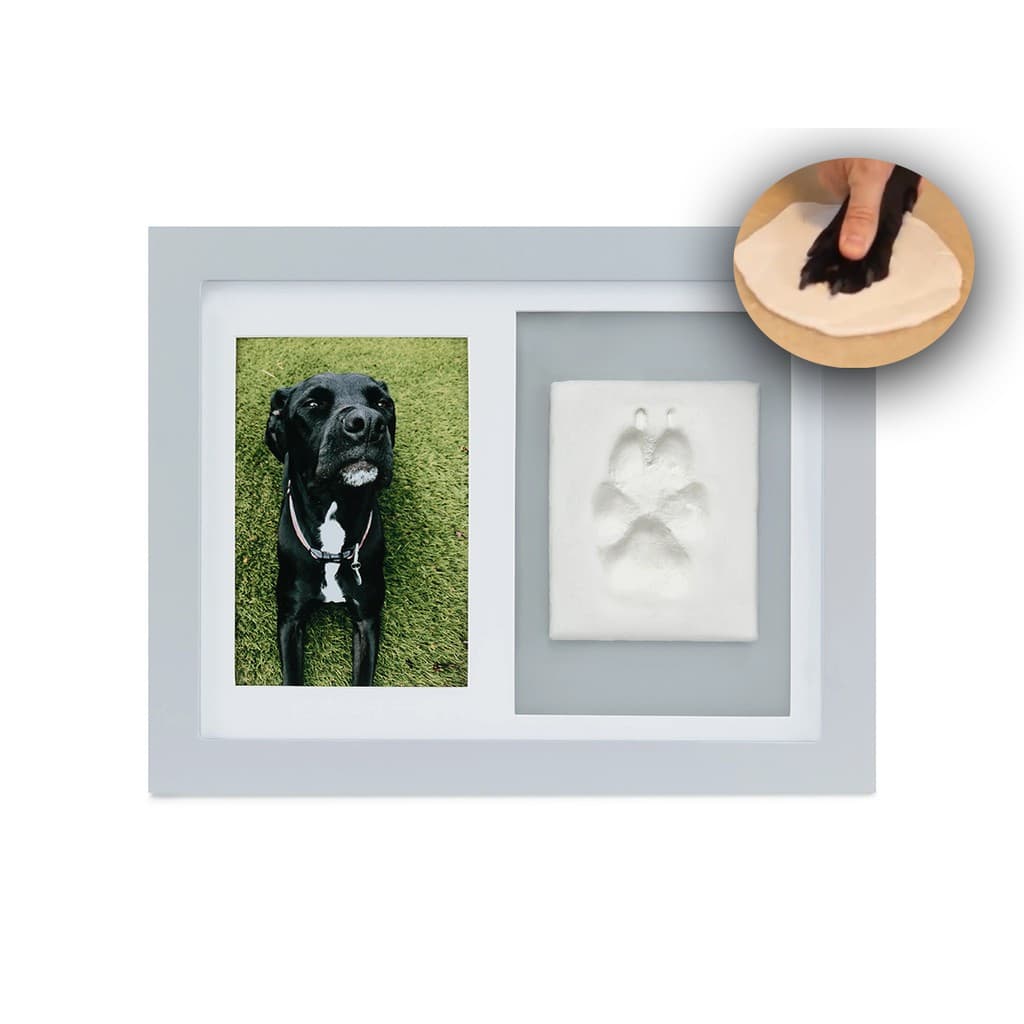 Porta Retrato Decoração Cachorro Gato Patinha Massa Modelar