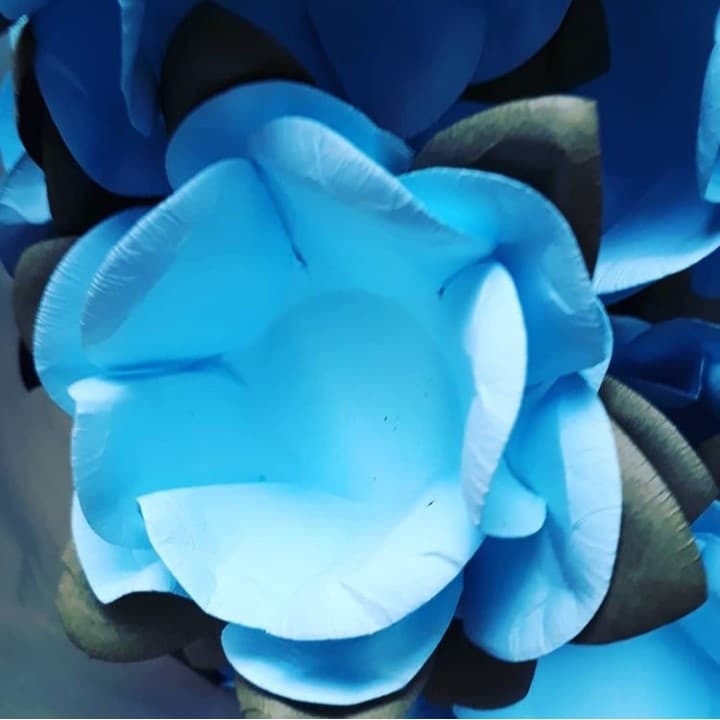 Forminhas Para Doces Finos - Modelo  CAMÉLIA ABERTA  1400 Unidades!!!