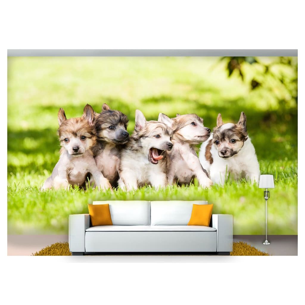 papel de parede Animais cachorros grama 3D 7,5m² ANM171