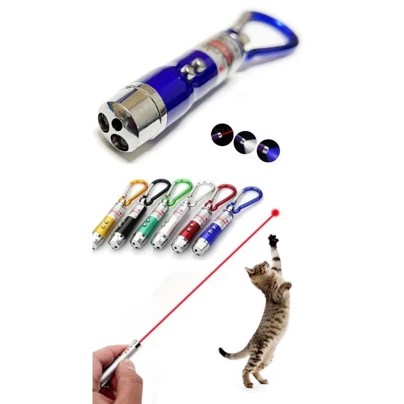 Lanterna Chaveiro Laser Notas Falsas Brinquedo Gato