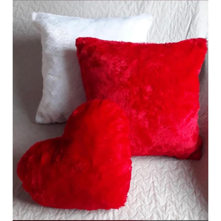 Kit 2 Capas Para Almofada Pelinho 45x45 Varias Cores