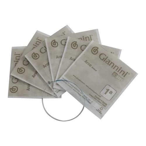 Corda Avulsa Para Violino Giannini 1ª (e) Mi Kit Com 6