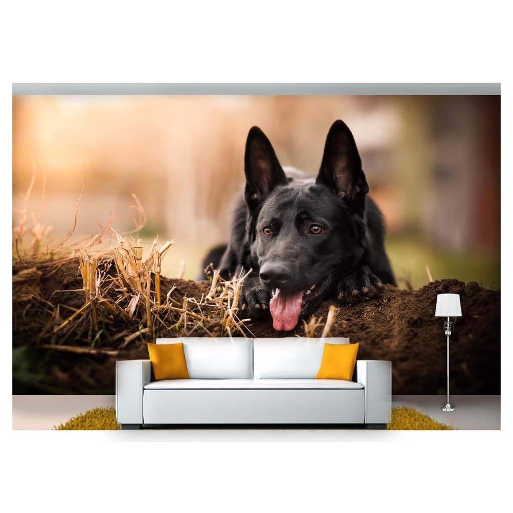 papel de parede Animais cachorro grama 3D m² ANM177
