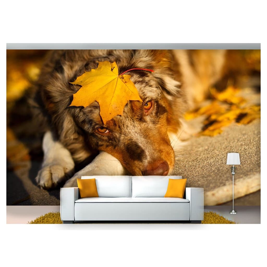 papel de parede Animais Cachorro Folha 3D m² ANM98