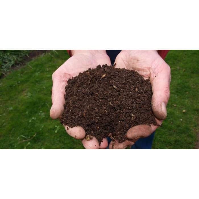 Terra Vegetal Adubada 12L