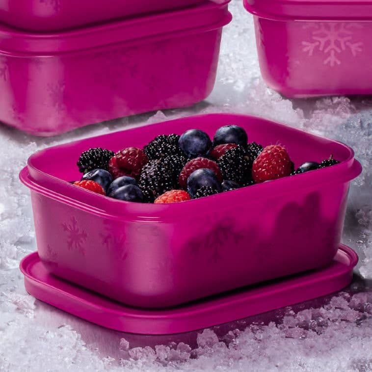Tupperware Freezer Line Original 450ml e 1,1L | Pote para Freezer com Tampa
