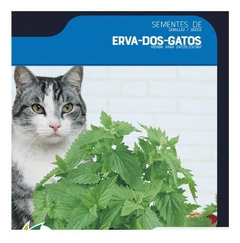 Sementes De Erva Dos Gatos Catnip - 1900 Sementes
